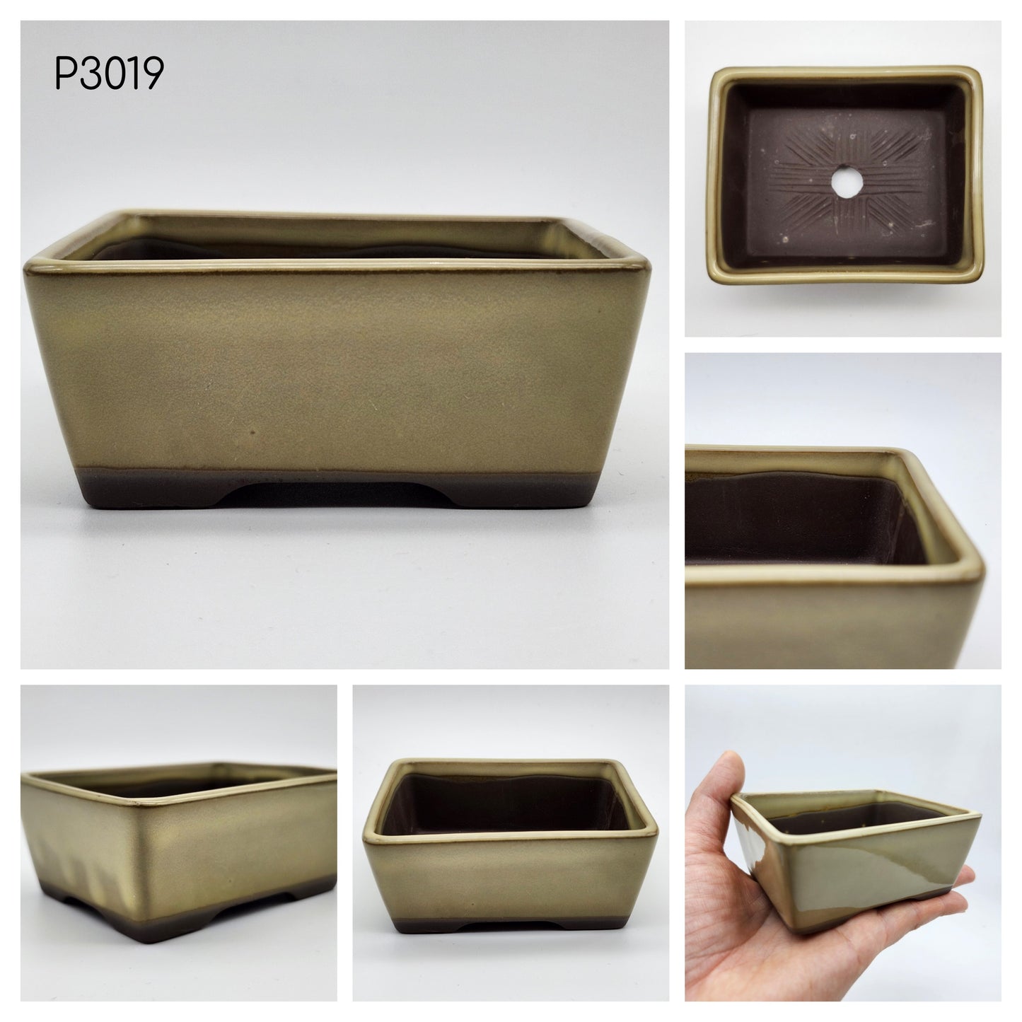 Authentic Japanese Bonsai Pot, Rectangle 3 1/2inch Pot