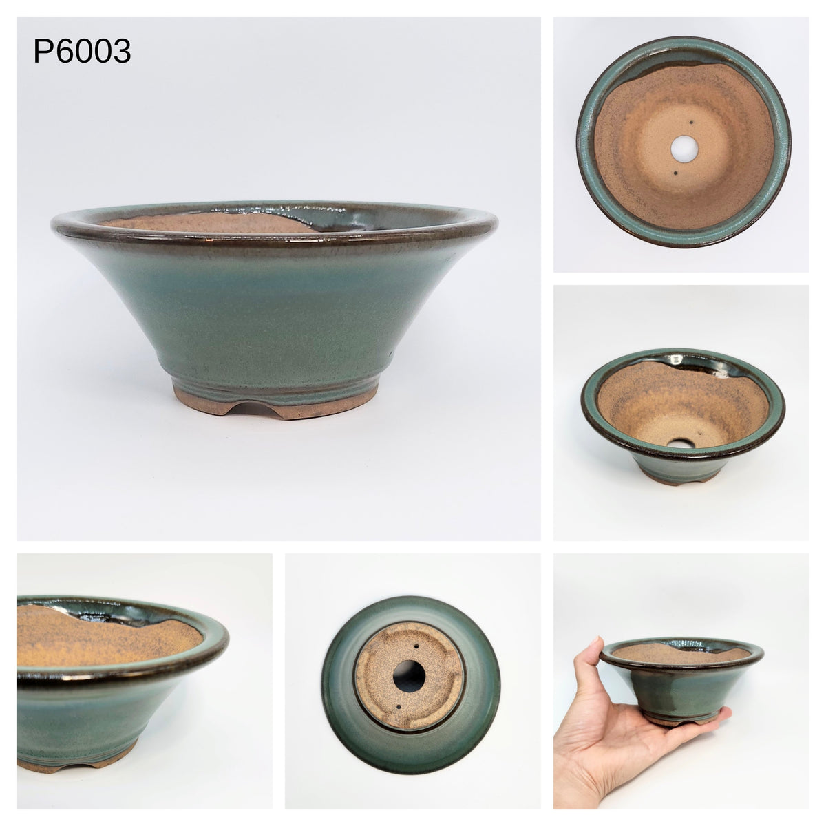 P6003 Bonsai Pot, 6inch, Koishiwara Yaki-Japanese Pottery