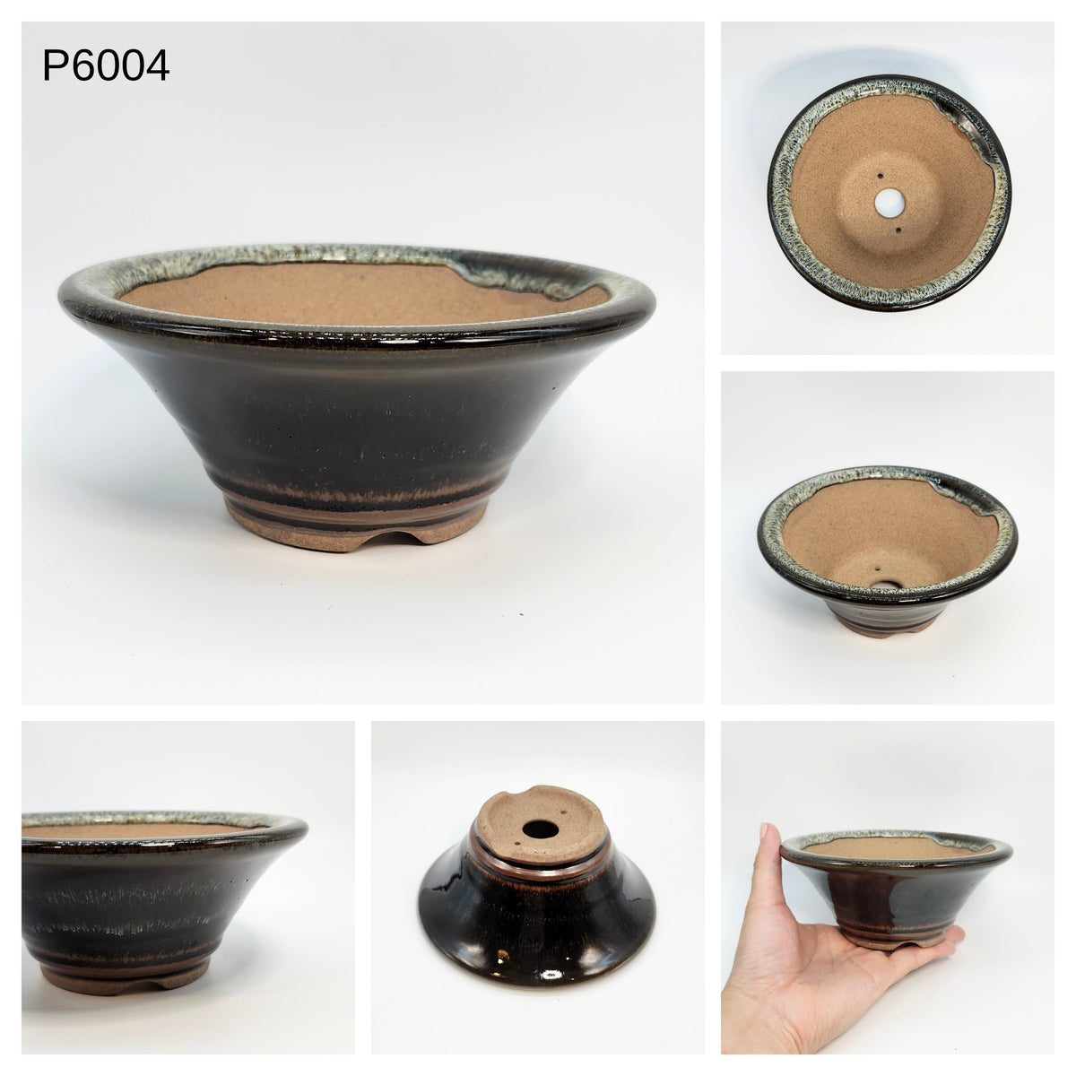 P6004 Bonsai Pot, 6inch, Koishiwara Yaki-Japanese Pottery