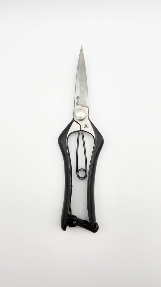 Masamune Japanese hand crafted Double Edged Bud Cutting Scissors 200mm. Secateur / Pruner.