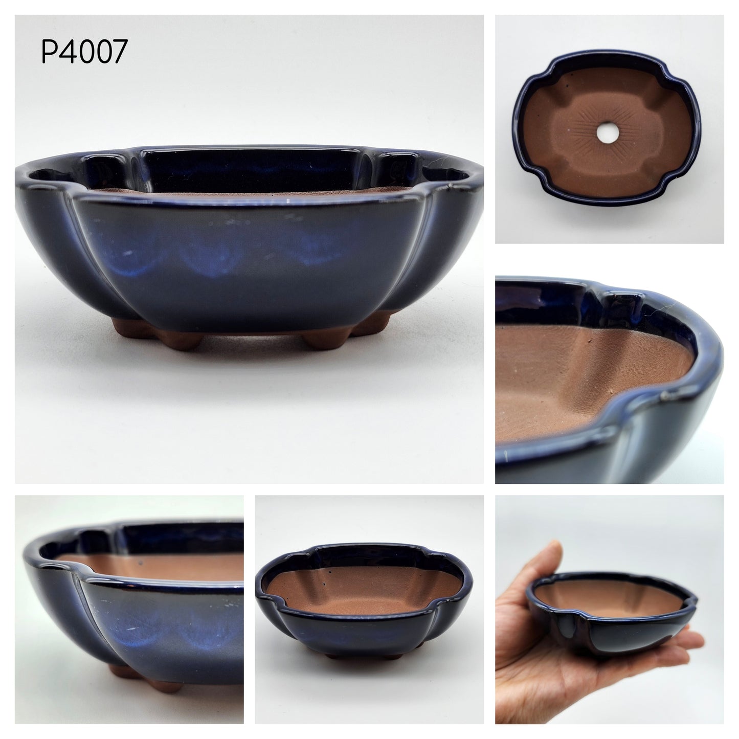Authentic Japanese Bonsai Pot, Oval 4inch Pot