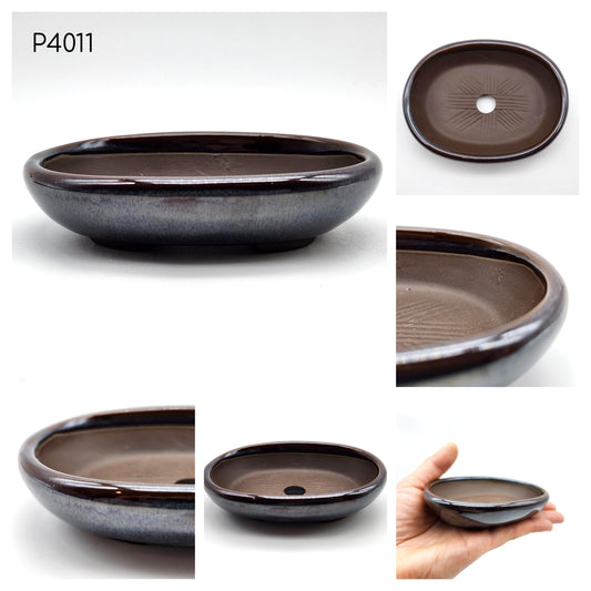 P4011 Navy Turquoise Mix on Brown Base / Shallow, Authentic Japanese Bonsai Pot, Oval Bonsai Pot