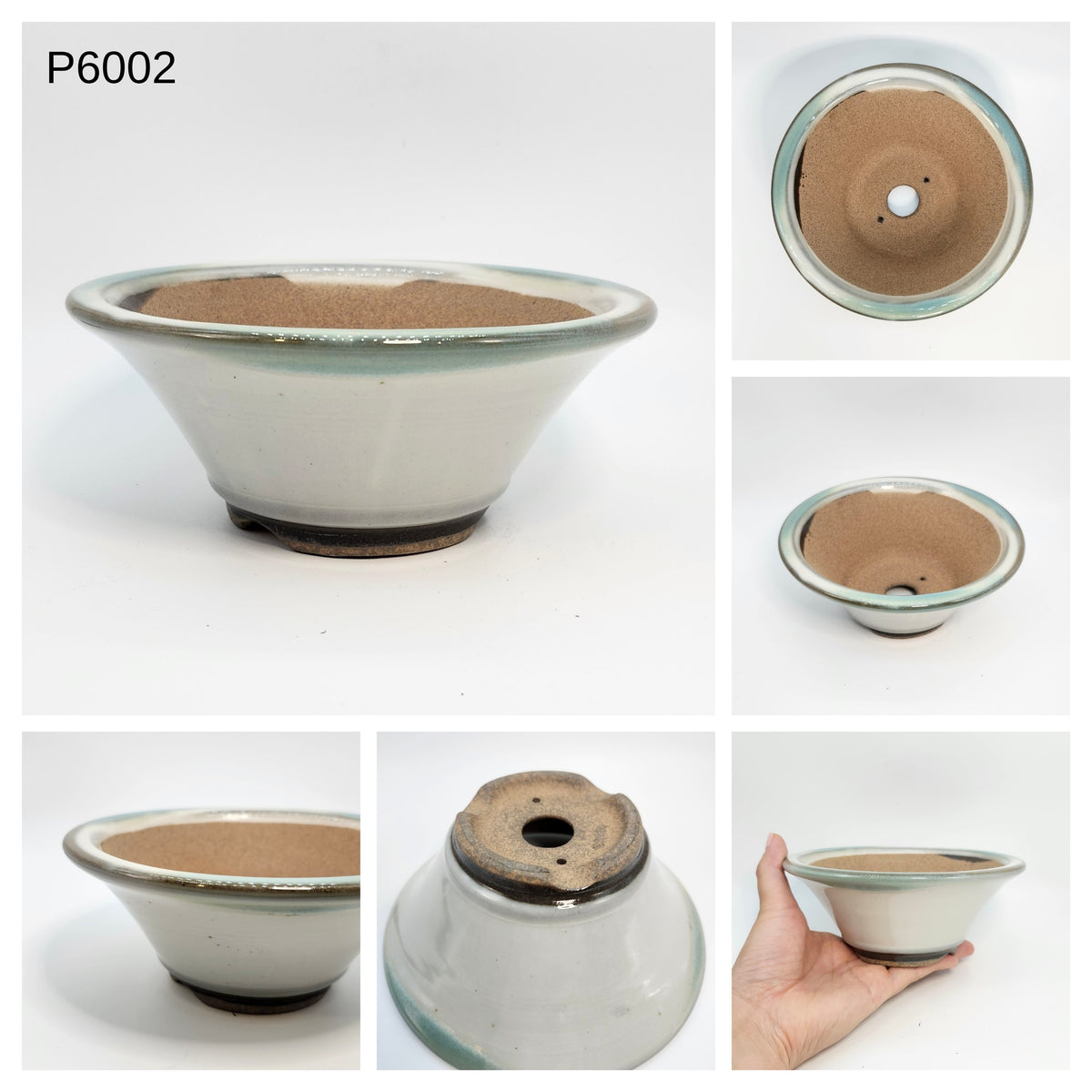 P6002 Bonsai Pot, 6inch, Koishiwara Yaki-Japanese Pottery