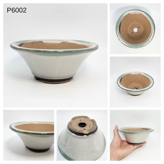 P6002 Bonsai Pot, 6inch, Koishiwara Yaki-Japanese Pottery