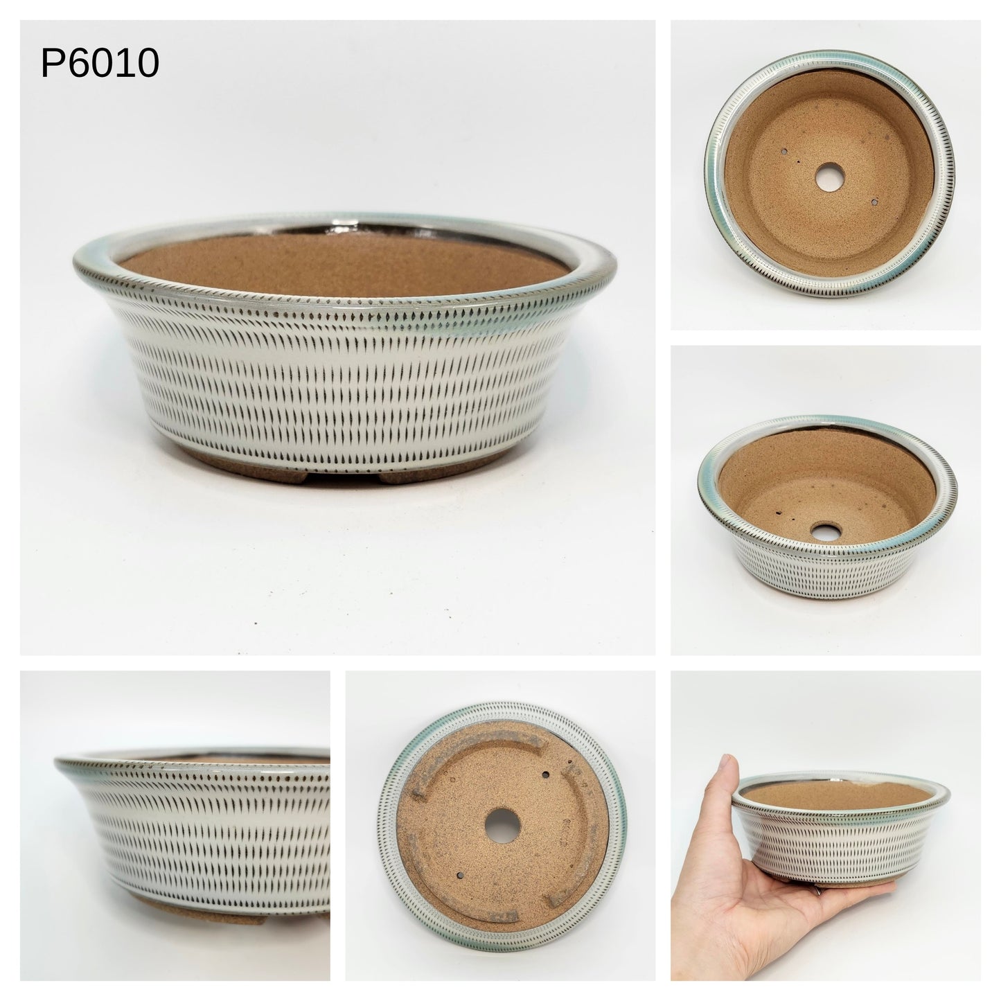 P6010 Bonsai Pot, 6inch, Koishiwara Yaki-Japanese Pottery